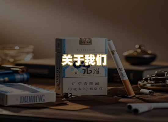 关于我们